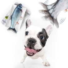 Load image into Gallery viewer, Flying Fishies - The Ultimate Pet Toy
