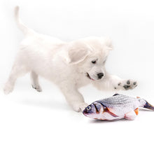 Load image into Gallery viewer, Flying Fishies - The Ultimate Pet Toy
